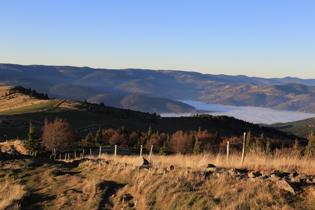 Le Holzberg Et Ses Suites Osenbach ภายนอก รูปภาพ